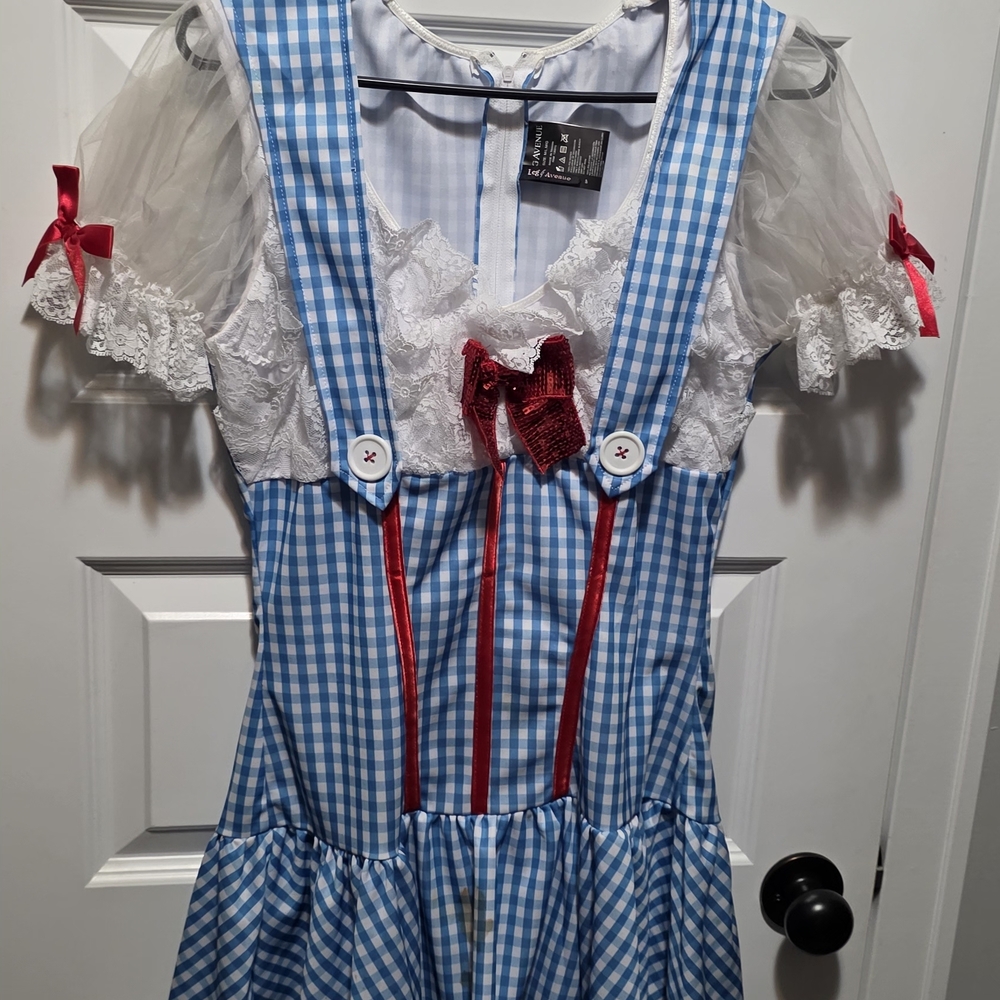 Leg Avenue Blue and White Gingham Dress